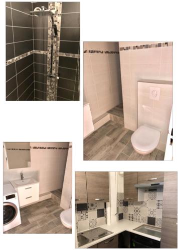 コルマールにあるCentre ville Colmar, parkingのバスルーム(トイレ、洗面台付)の写真4枚