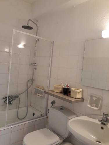 a bathroom with a toilet and a shower and a sink at Mykonos Beachfront House with Sunset & Delos View in Agios Stefanos