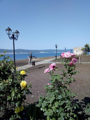 Gallery image of Guest House Tony in Nesebar