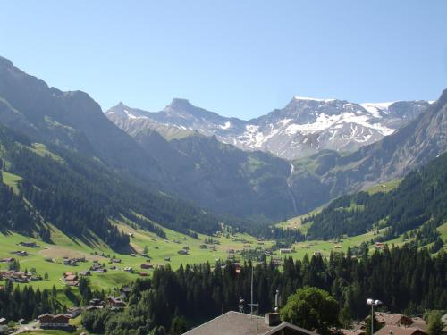 a green valley with mountains in the background at Hotel Viktoria Eden in Adelboden
