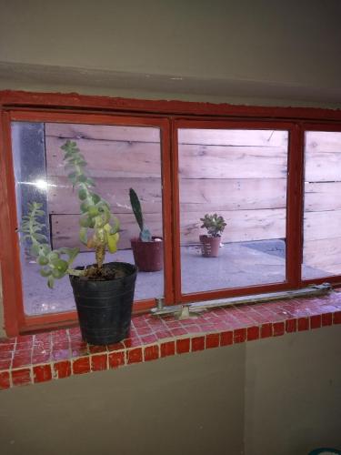 two potted plants sitting on a window sill at El Tamarisco in Puerto Pirámides