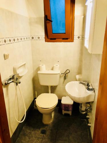 a bathroom with a toilet and a sink at Rooms Olympia in Gialiskari