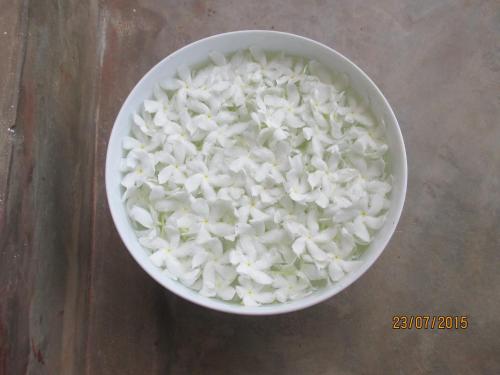 a bowl of white rice on a wooden table at Shiva Rest Katharagama in Kataragama