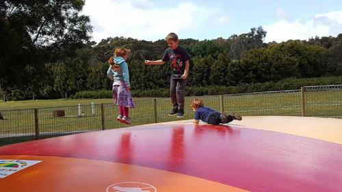 a group of children jumping on a trampoline at Breeze Holiday Parks - Grampians in Halls Gap