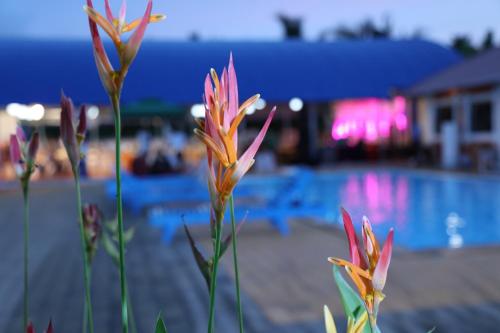 a group of pink flowers in front of a pool at Renai Blue Waters Cherai in Cherai Beach