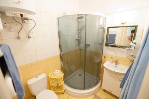 a bathroom with a shower and a toilet and a sink at Apartament Makowo in Makowo