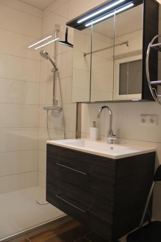La salle de bains est pourvue d'un lavabo et d'une douche. dans l'établissement Familienapartment Sunnseitn, à Bad Mitterndorf