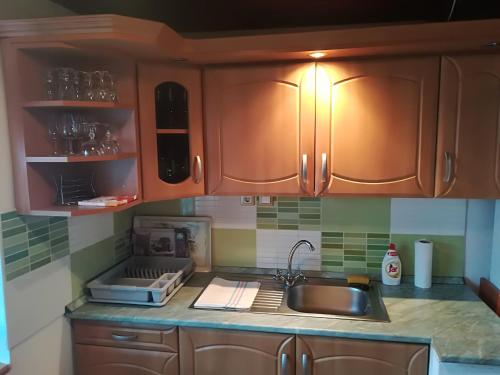 a kitchen with wooden cabinets and a sink at Sissy Vendégház in Mórahalom