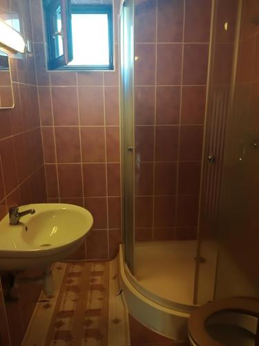 a bathroom with a shower and a sink and a toilet at Sissy Vendégház in Mórahalom