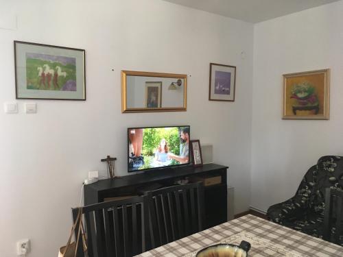 a living room with a flat screen tv on a wall at Casa Bunicului in Gura Vadului