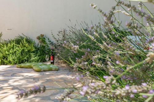a bottle of wine sitting next to some plants at Apartman Nik in Nova Vas