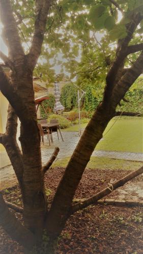 a tree with a picnic table in a park at Alföldi Vendégház in Hódmezővásárhely