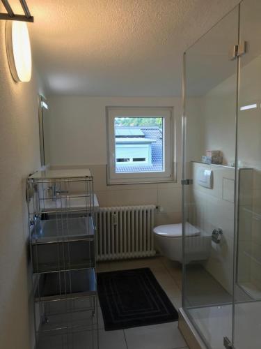 ラーベンスブルクにあるFerienwohnung *stadtnah* ruhig* modernのトイレ、洗面台、窓のあるバスルーム