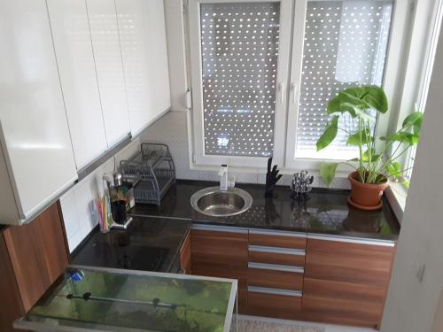 kuchnia ze zlewem i okno z rośliną w obiekcie Apartment w mieście Wełes