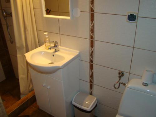 a bathroom with a sink and a toilet at Apartament nad Jeziorem Necko in Augustów
