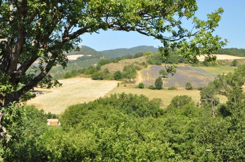 a view of a field from a tree at Camping du Moulin de Thoard in Thoard