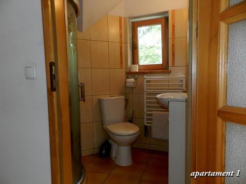 een badkamer met een toilet en een wastafel bij Apartamencik z Widokiem Na Giewont in Zakopane