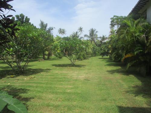 Un jardín fuera de Raja Beach Hotel