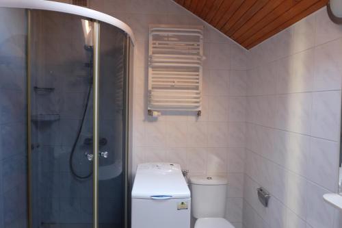 グディニャにあるApartament Morskiのバスルーム(トイレ、シャワー付)