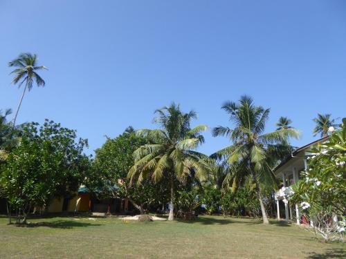 Un jardín fuera de Raja Beach Hotel