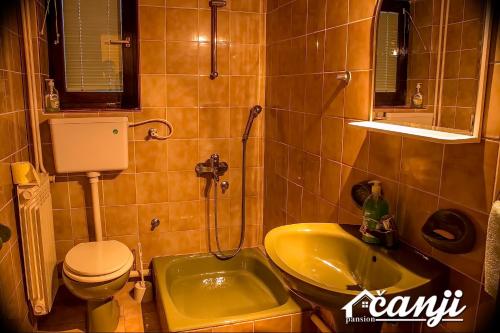 a small bathroom with a sink and a toilet and a sink at Pansion Čanji in Bački Petrovac
