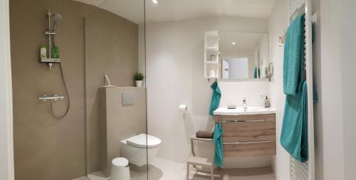 ein Bad mit einer Dusche, einem WC und einem Waschbecken in der Unterkunft Duin en Zee Texel in De Koog