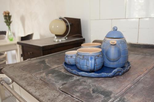 Kuhinja ili čajna kuhinja u objektu Vila Sazava