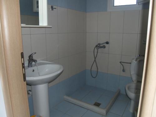 a bathroom with a shower and a sink and a toilet at Rania Studios in Lefkada