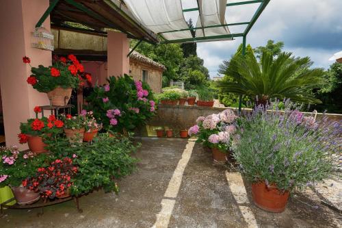 Bed and Breakfast di Francia – Photos 4