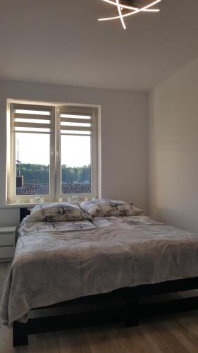 a bedroom with a large bed and two windows at Apartament ULA in Mikołajki