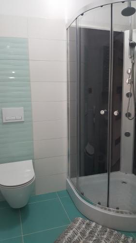 a bathroom with a toilet and a glass shower at Apartament ULA in Mikołajki