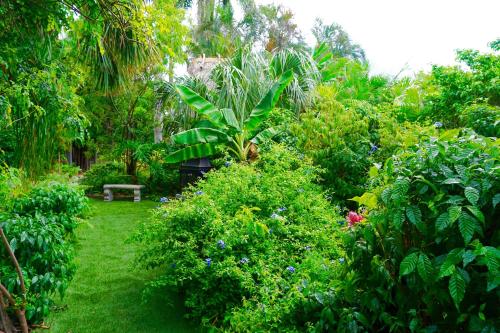a garden with a bench and trees and plants at Riverside by the Beach Apartments in Pompano Beach