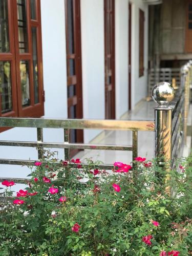 a bunch of pink flowers in front of a fence at VuLinh Family -Homestay in Yên Bình