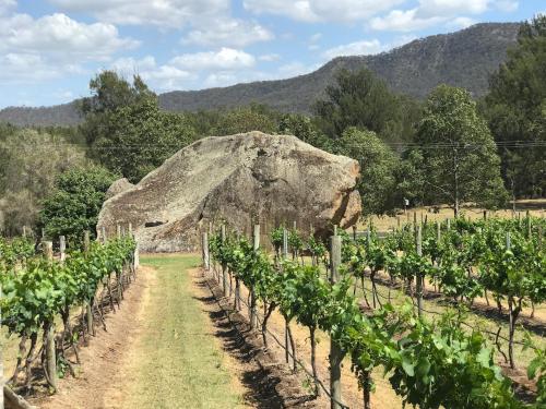 a large rock in a field of vines at Winmark Wines in Broke