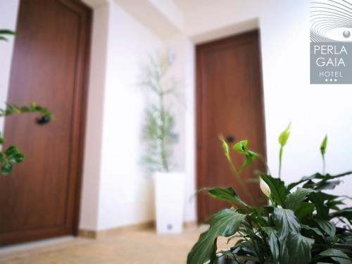 a hallway with a door and plants in front of it at Hotel Perla Gaia in San Vito lo Capo