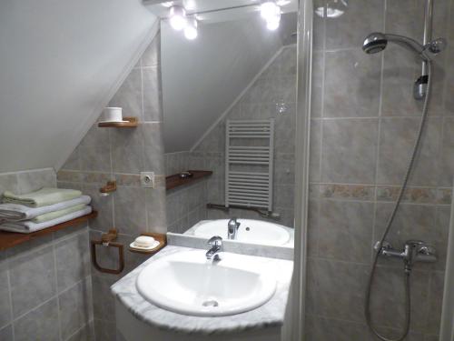 a bathroom with a sink and a shower at La Fontainoise in Fontaine-sur-Somme