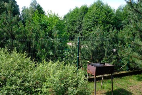 Jardí fora de Geltondvaris