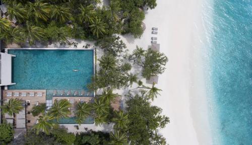 an overhead view of a swimming pool next to a beach at Vakkaru Maldives in Baa Atoll