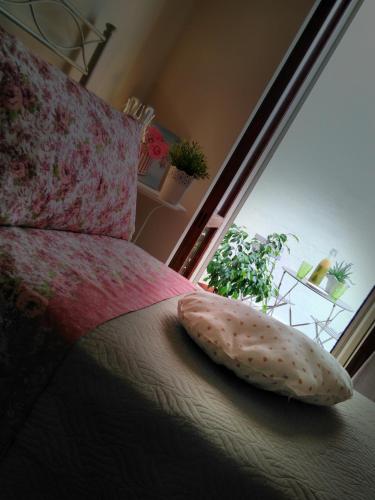 Gallery image of B&B L'angolo fiorito in Bernalda