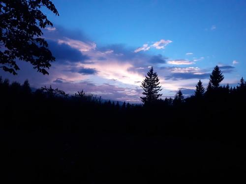 a sunset in a field with trees in the foreground at Заграйка in Snidavka