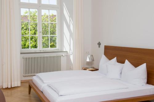 Легло или легла в стая в Akademie der Dioezese Weingarten