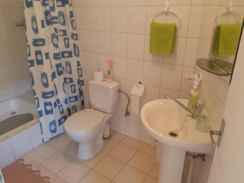 Koupelna v ubytování Rugelis