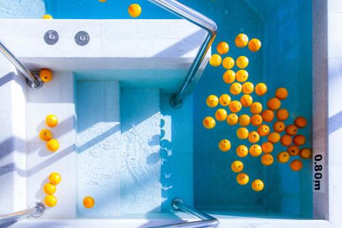 a bunch of oranges hanging on a wall at Talayot - Adults Only in Cala Millor