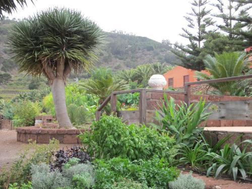 a garden with a palm tree and a wooden fence at Haciendas del Valle - Las Kentias in Valle de Guerra