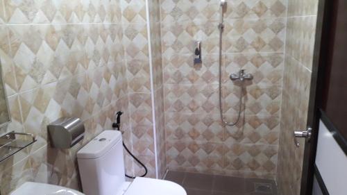 a bathroom with a toilet and a shower at TULIP HOTEL & APARTMENT in Cameron Highlands