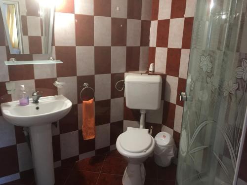 Ένα μπάνιο στο Casa Oana Ioana