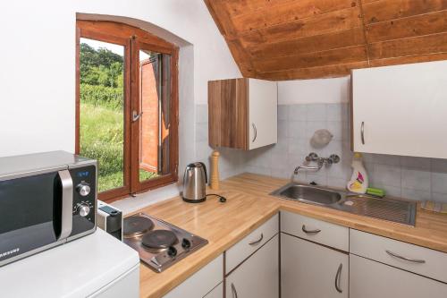Kuchyň nebo kuchyňský kout v ubytování Tagyon Birtok Panoráma Apartman