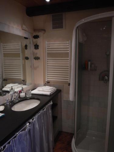 a bathroom with a sink and a shower at Ca' de Pria in Borgio Verezzi