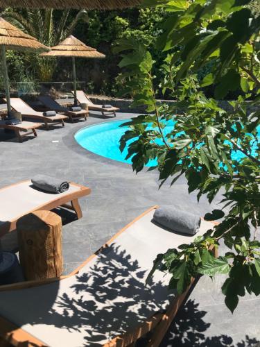 Πισίνα στο ή κοντά στο Hotel Minera