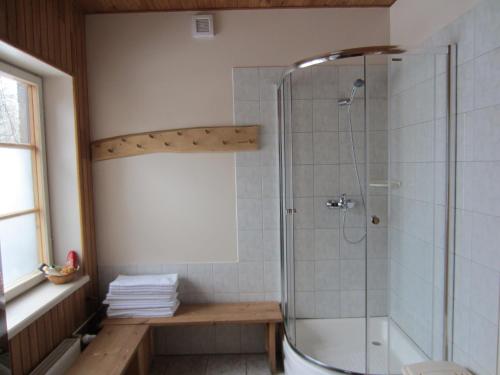 a bathroom with a shower with a glass shower stall at Hostel Livonija in Sigulda